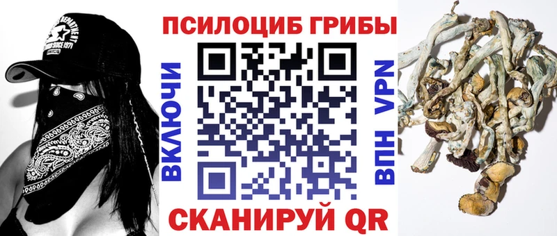 Псилоцибиновые грибы Magic Shrooms  Шуя 
