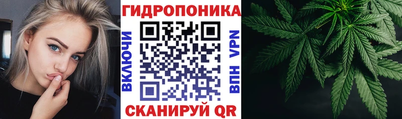 Марихуана Amnesia  Шуя 